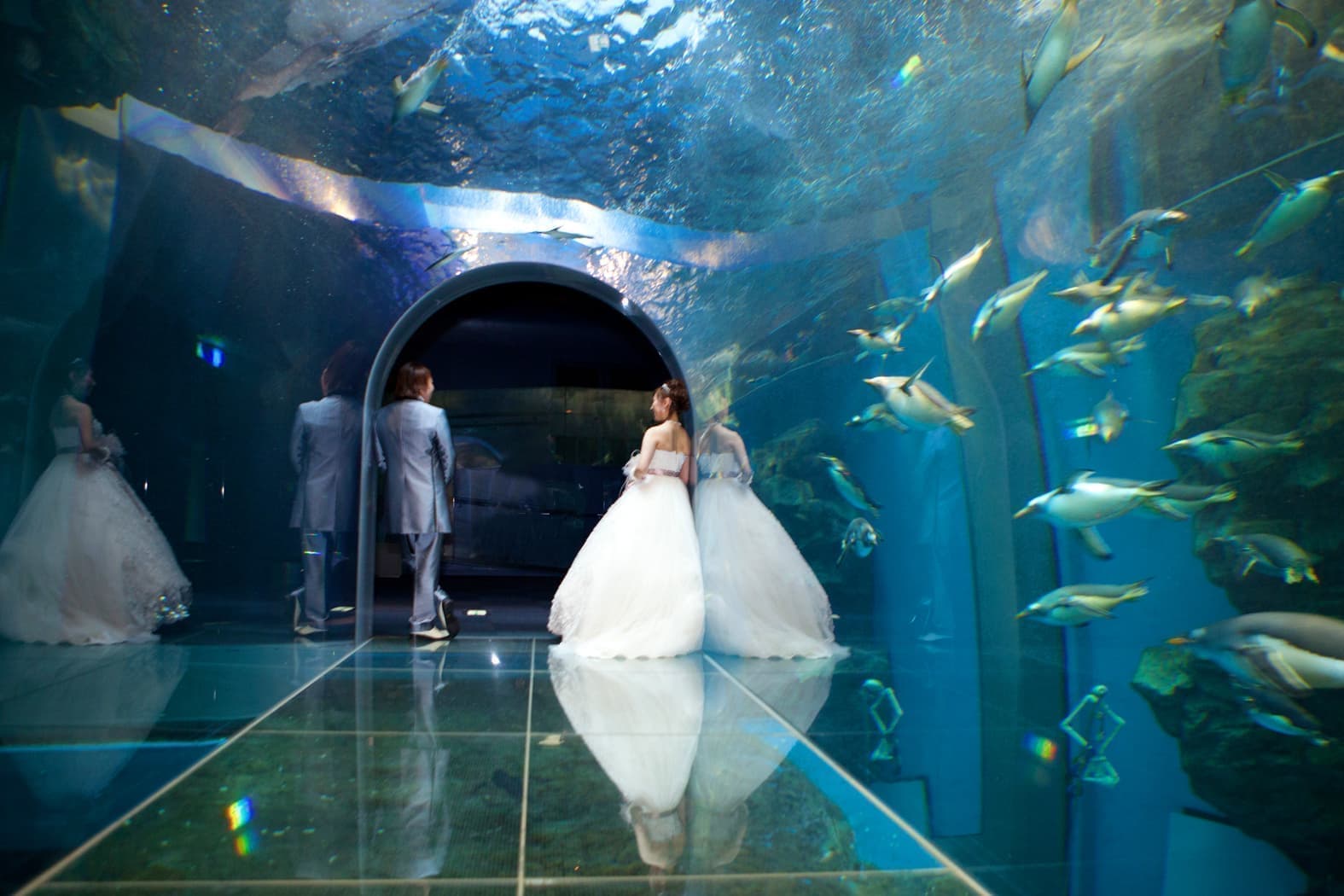 水族館で結婚式の画像
